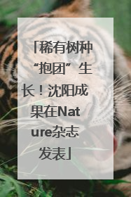 稀有树种“抱团”生长！沈阳成果在Nature杂志发表