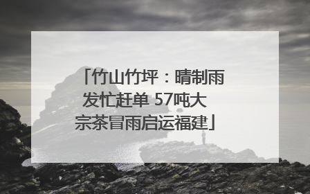 竹山竹坪：晴制雨发忙赶单 57吨大宗茶冒雨启运福建