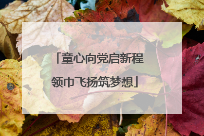 童心向党启新程 领巾飞扬筑梦想