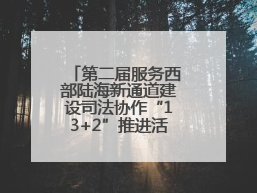 第二届服务西部陆海新通道建设司法协作“13+2”推进活动在南宁举办