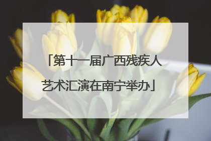 第十一届广西残疾人艺术汇演在南宁举办