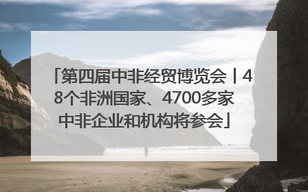 第四届中非经贸博览会丨48个非洲国家、4700多家中非企业和机构将参会