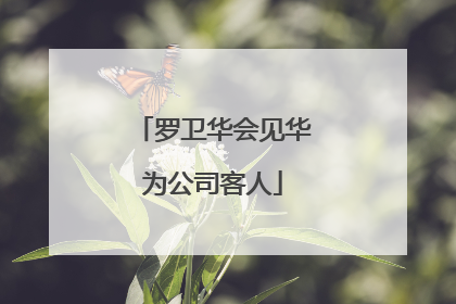 罗卫华会见华为公司客人