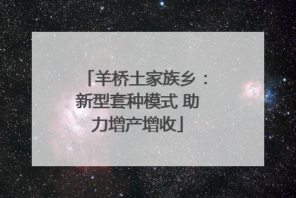 羊桥土家族乡：新型套种模式 助力增产增收