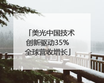 美光中国技术创新驱动35%全球营收增长