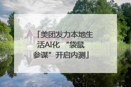 美团发力本地生活AI化 “袋鼠参谋”开启内测