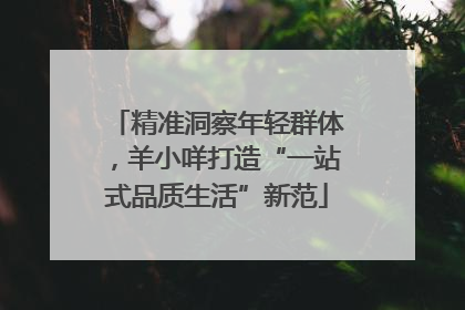 精准洞察年轻群体，羊小咩打造“一站式品质生活”新范