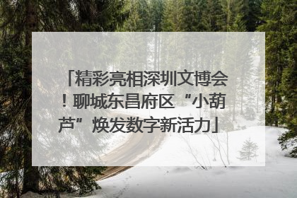精彩亮相深圳文博会！聊城东昌府区“小葫芦”焕发数字新活力