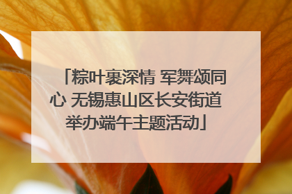 粽叶裹深情 军舞颂同心 无锡惠山区长安街道举办端午主题活动