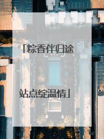 粽香伴归途 站点绽温情