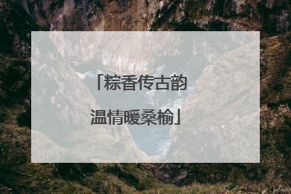 粽香传古韵 温情暖桑榆