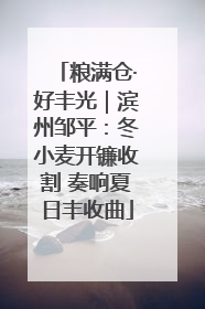 粮满仓·好丰光｜滨州邹平：冬小麦开镰收割 奏响夏日丰收曲