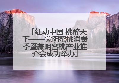 红动中国 桃醉天下——蒙阴蜜桃消费季暨蒙阴蜜桃产业推介会成功举办