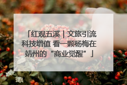 红观五溪｜文旅引流 科技增值 看一颗杨梅在靖州的“商业觉醒”