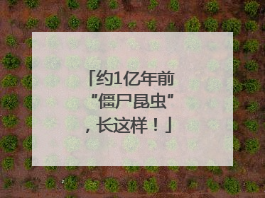 约1亿年前“僵尸昆虫”，长这样！