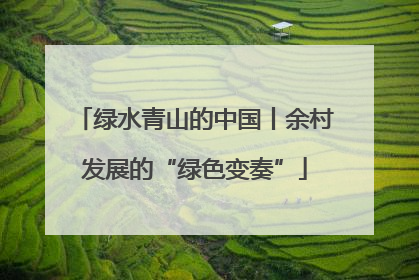 绿水青山的中国丨余村发展的“绿色变奏”