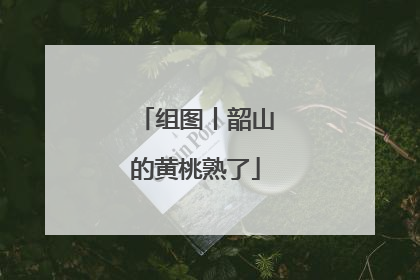 组图丨韶山的黄桃熟了