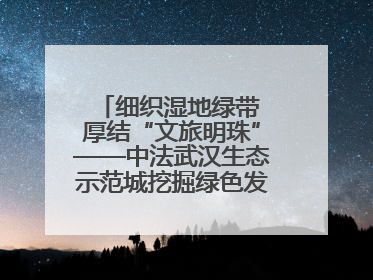 细织湿地绿带 厚结“文旅明珠”——中法武汉生态示范城挖掘绿色发展新动能