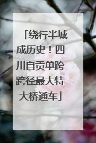 绕行半城成历史！四川自贡单跨跨径最大特大桥通车
