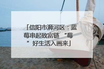 信阳市浉河区：蓝莓串起致富链 “莓”好生活入画来