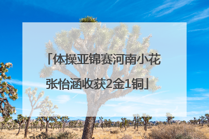 体操亚锦赛河南小花张怡涵收获2金1铜