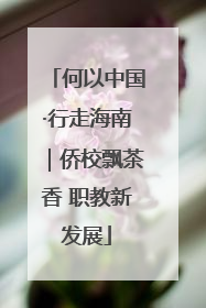 何以中国·行走海南｜侨校飘茶香 职教新发展