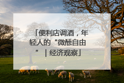 便利店调酒，年轻人的“微醺自由”｜经济观察