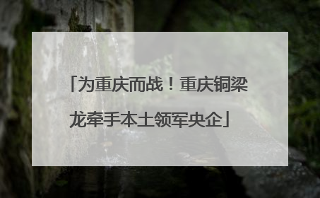 为重庆而战！重庆铜梁龙牵手本土领军央企