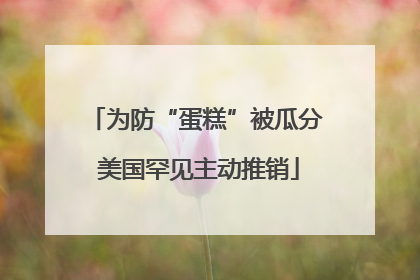 为防“蛋糕”被瓜分 美国罕见主动推销