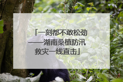 一刻都不敢松劲——湖南桑植防汛救灾一线直击
