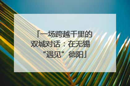 一场跨越千里的双城对话：在无锡“遇见”德阳
