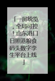 一屏统览，全局可控！山东港口日照港粮食码头数字孪生平台上线