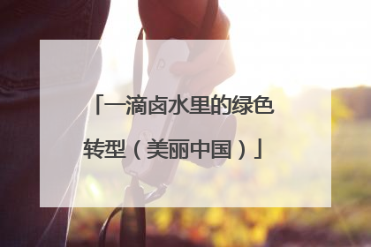 一滴卤水里的绿色转型（美丽中国）