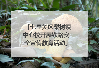 七星关区梨树镇中心校开展铁路安全宣传教育活动