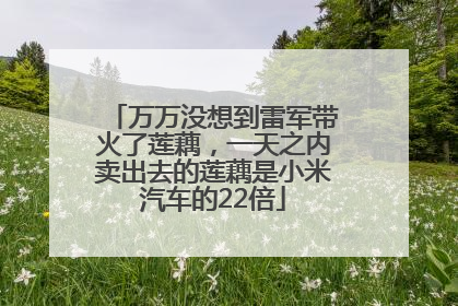 万万没想到雷军带火了莲藕，一天之内卖出去的莲藕是小米汽车的22倍