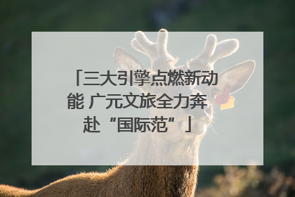 三大引擎点燃新动能 广元文旅全力奔赴“国际范”
