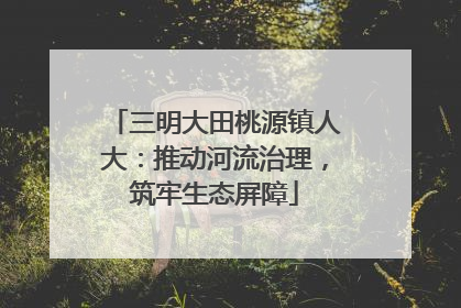 三明大田桃源镇人大：推动河流治理，筑牢生态屏障