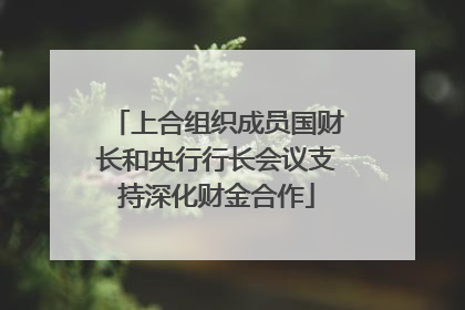 上合组织成员国财长和央行行长会议支持深化财金合作