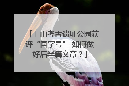 上山考古遗址公园获评“国字号” 如何做好后半篇文章？