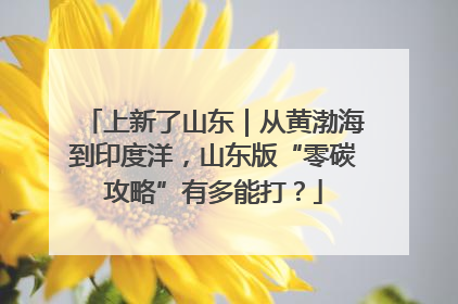 上新了山东｜从黄渤海到印度洋，山东版“零碳攻略”有多能打？