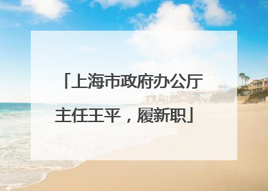 上海市政府办公厅主任王平，履新职