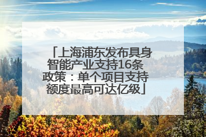 上海浦东发布具身智能产业支持16条政策：单个项目支持额度最高可达亿级