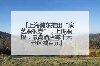 上海浦东推出“演艺票根券”，上传票根，最高酒店减千元景区减百元