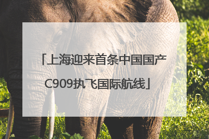 上海迎来首条中国国产C909执飞国际航线