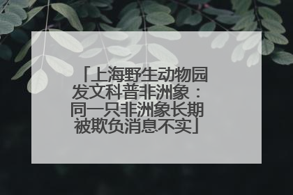 上海野生动物园发文科普非洲象：同一只非洲象长期被欺负消息不实