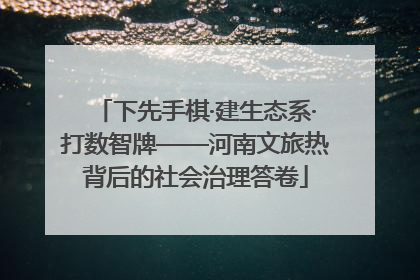 下先手棋·建生态系·打数智牌——河南文旅热背后的社会治理答卷