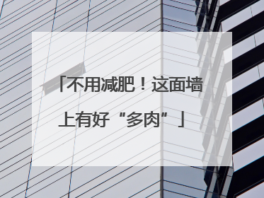 不用减肥！这面墙上有好“多肉”