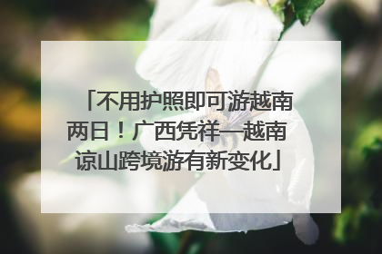 不用护照即可游越南两日！广西凭祥—越南谅山跨境游有新变化