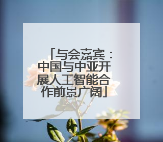 与会嘉宾：中国与中亚开展人工智能合作前景广阔