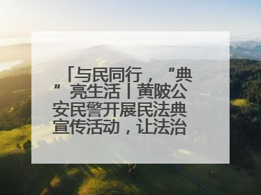 与民同行，“典”亮生活丨黄陂公安民警开展民法典宣传活动，让法治精神在群众心中落地生根